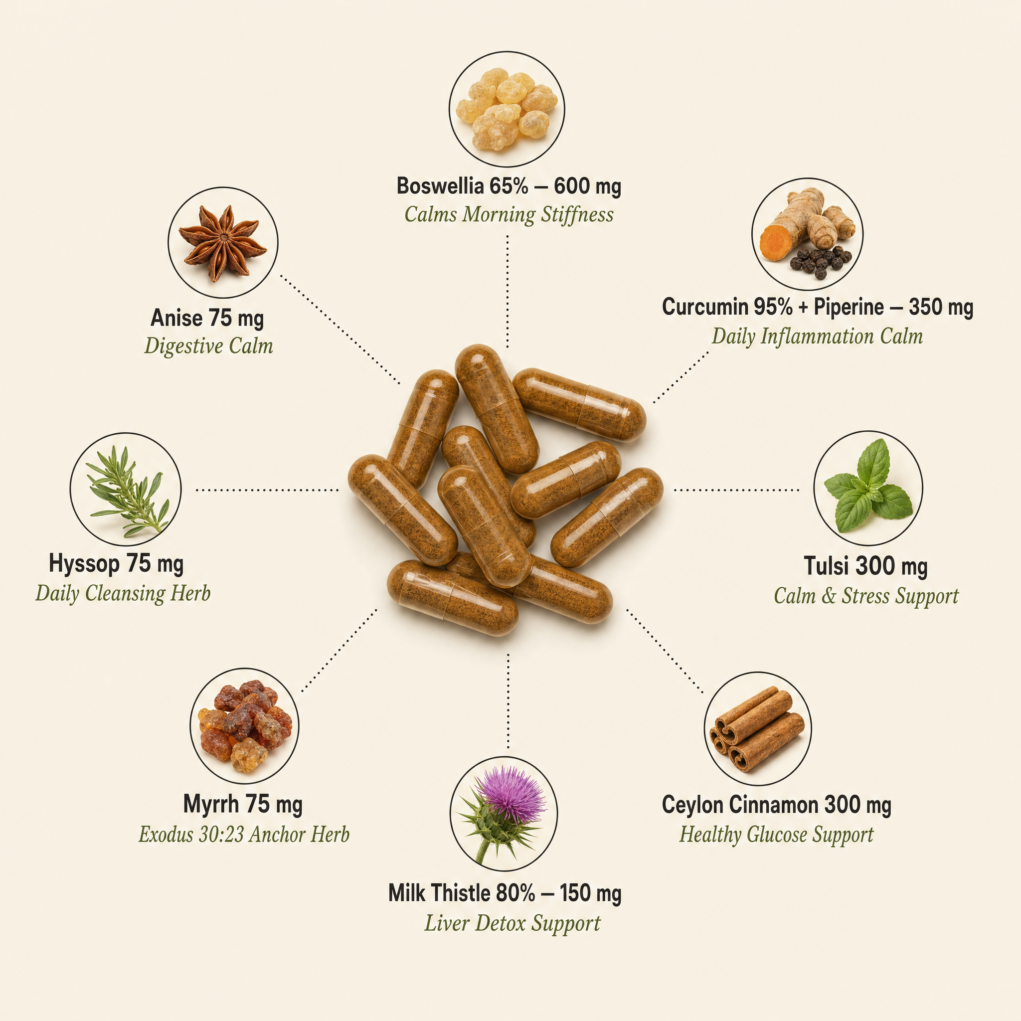 The 8 Biblical Herbs — Boswellia leads, Curcumin + Piperine, Tulsi, Cinnamon, Milk Thistle, Myrrh, Hyssop, Anise